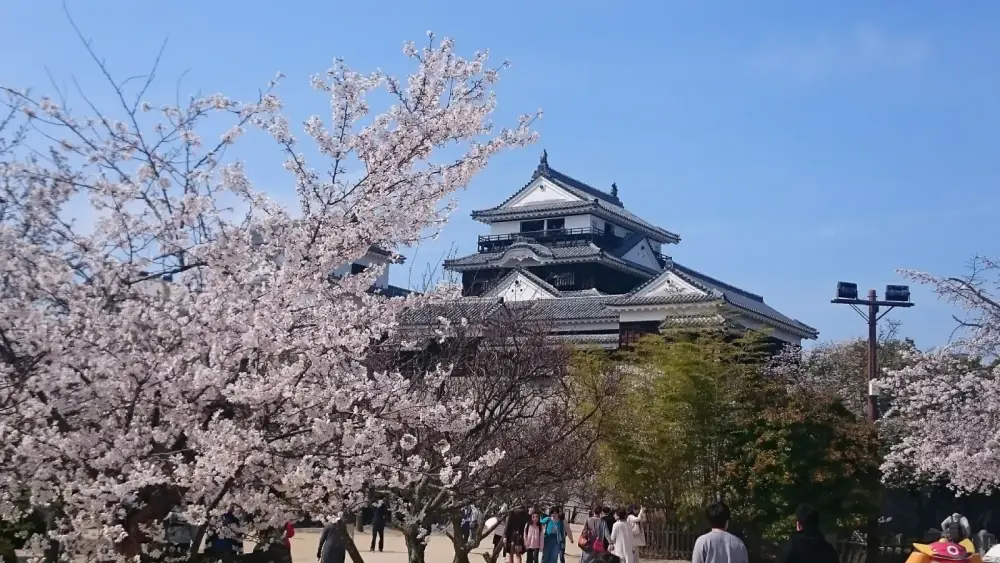 【松山城】現存12天守の最高峰！愛犬とも楽しめる完全観光ガイド